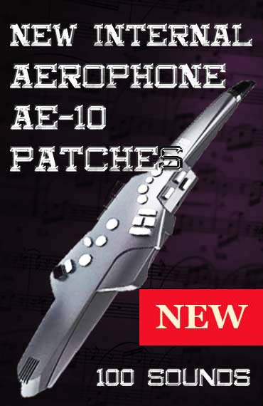 New Internal Aerophone AE-10 Sounds. 100 Patches.